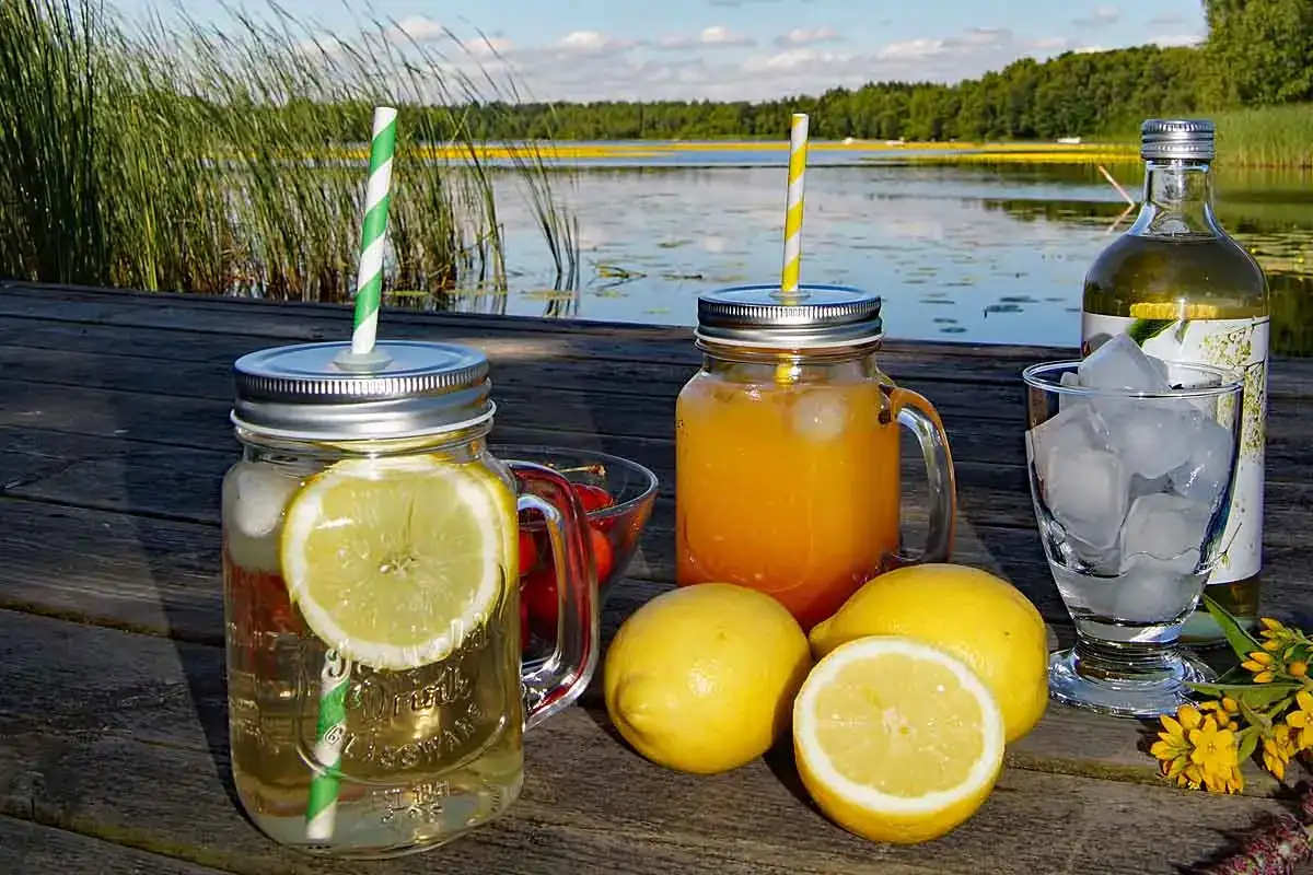 Erfrischende Limonade selber machen am See. Zwei Gläser mit Zitronenscheiben und Strohhalmen, daneben Zitronen und Eiswürfel.